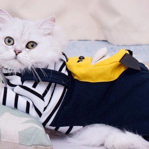 Cat Clothing Clothing Fall Winter Four-legged Clot